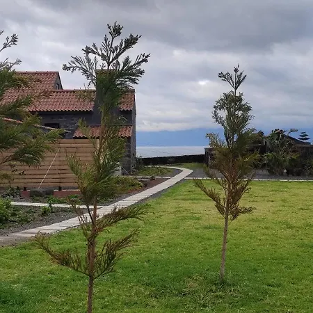 Ca Por Casa Pico-faia Appartement Prainha (Sao Roque do Pico)